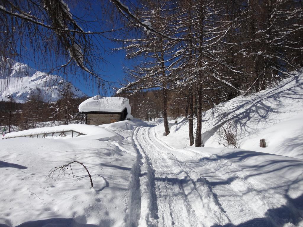 Rifugio Al Lago Del Mortirolo In Inverno Raggiungibile Solo A Piedi Monno Ngoại thất bức ảnh