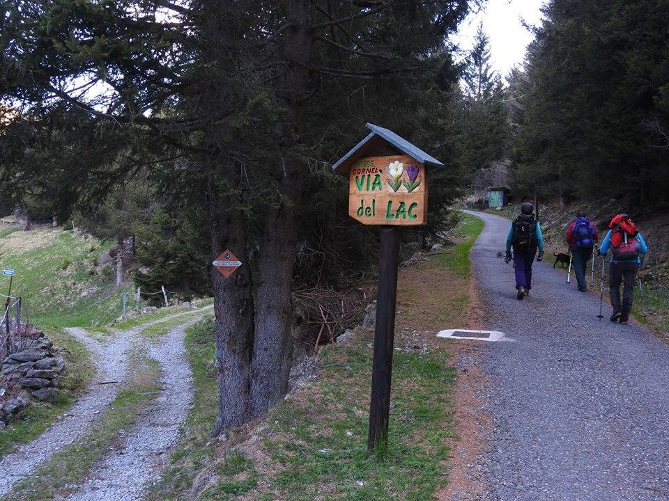 Rifugio Al Lago Del Mortirolo In Inverno Raggiungibile Solo A Piedi Monno Ngoại thất bức ảnh