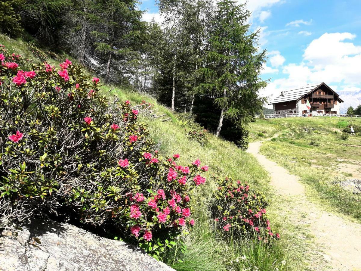 Rifugio Al Lago Del Mortirolo In Inverno Raggiungibile Solo A Piedi Monno Ngoại thất bức ảnh