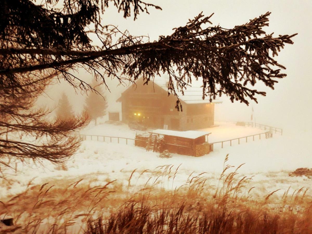 Rifugio Al Lago Del Mortirolo In Inverno Raggiungibile Solo A Piedi Monno Ngoại thất bức ảnh